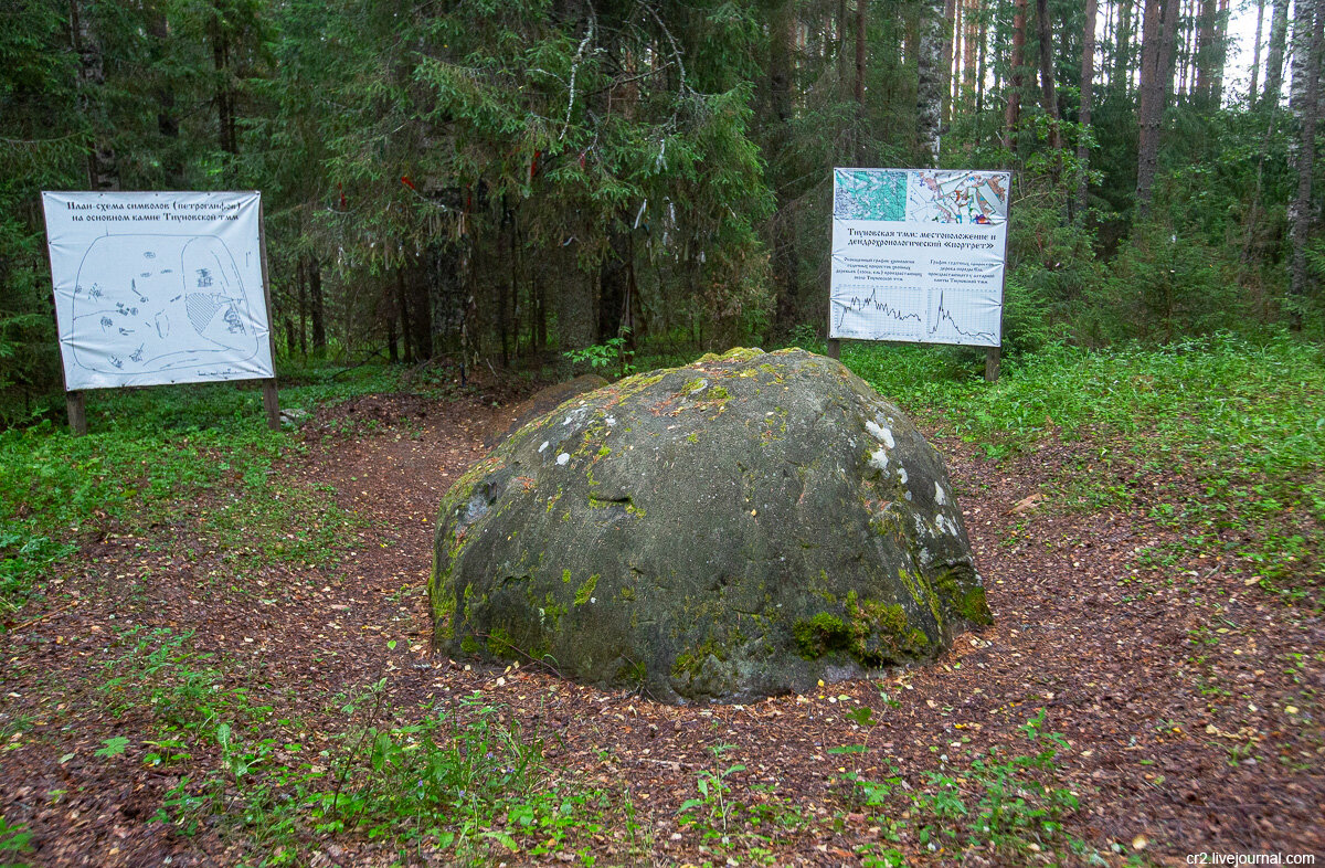 Тиуновское языческое святилище. Вологодская область. Фото автора статьи  