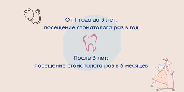 Рекомендованный график посещения детского стоматолога