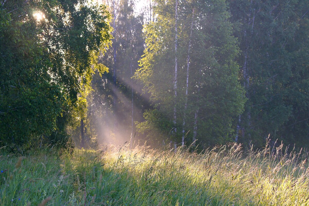 фото:pixabay.com