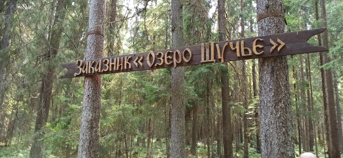 Фото из личного архива