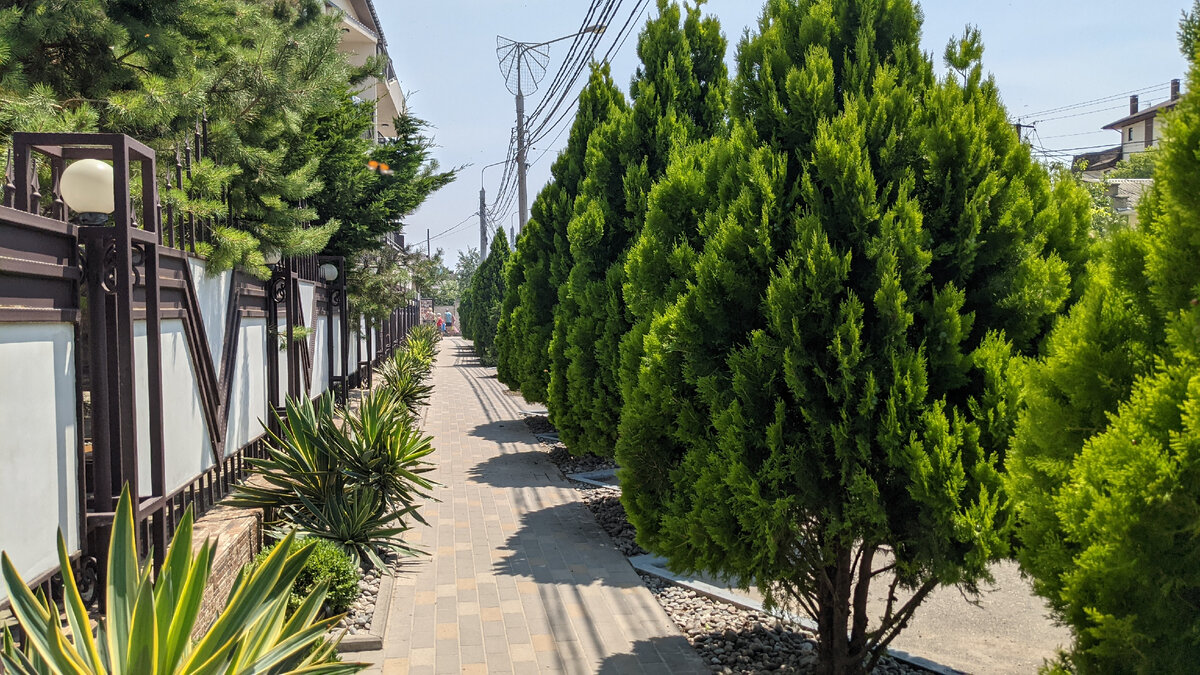 Анапа, Пионерский проспект