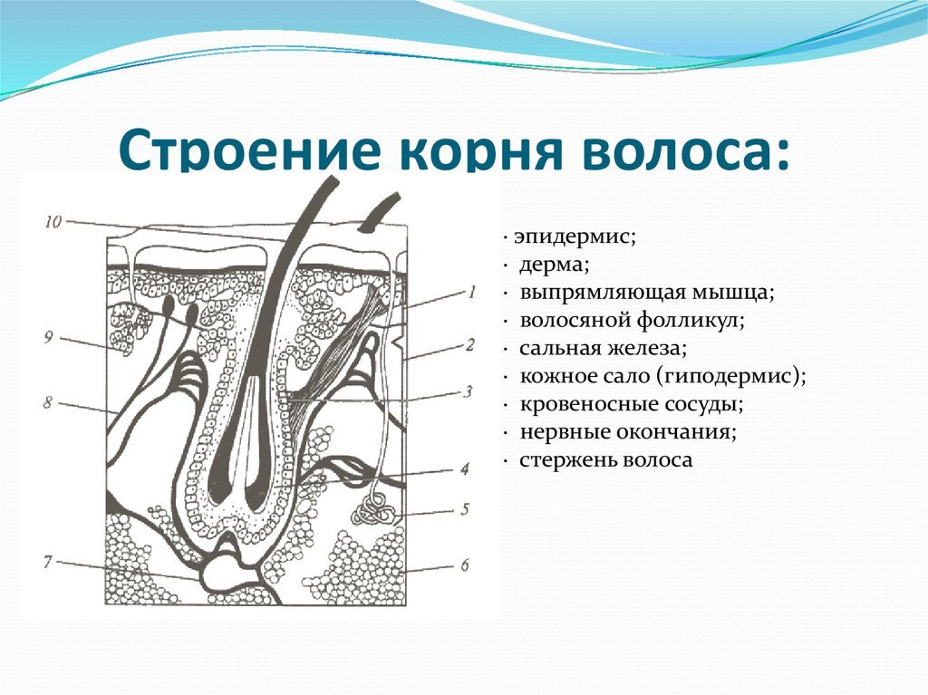 Как избежать эффекта «клубничных» ног после депиляции: самые действенные советы