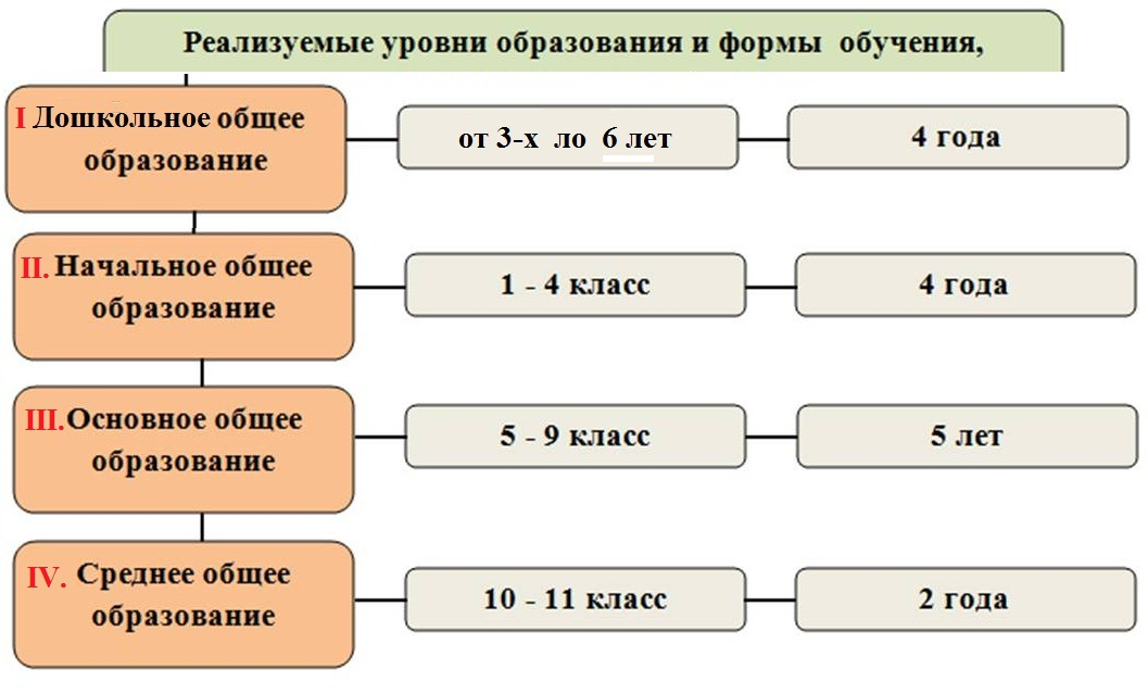 10 класс какое образование в школе