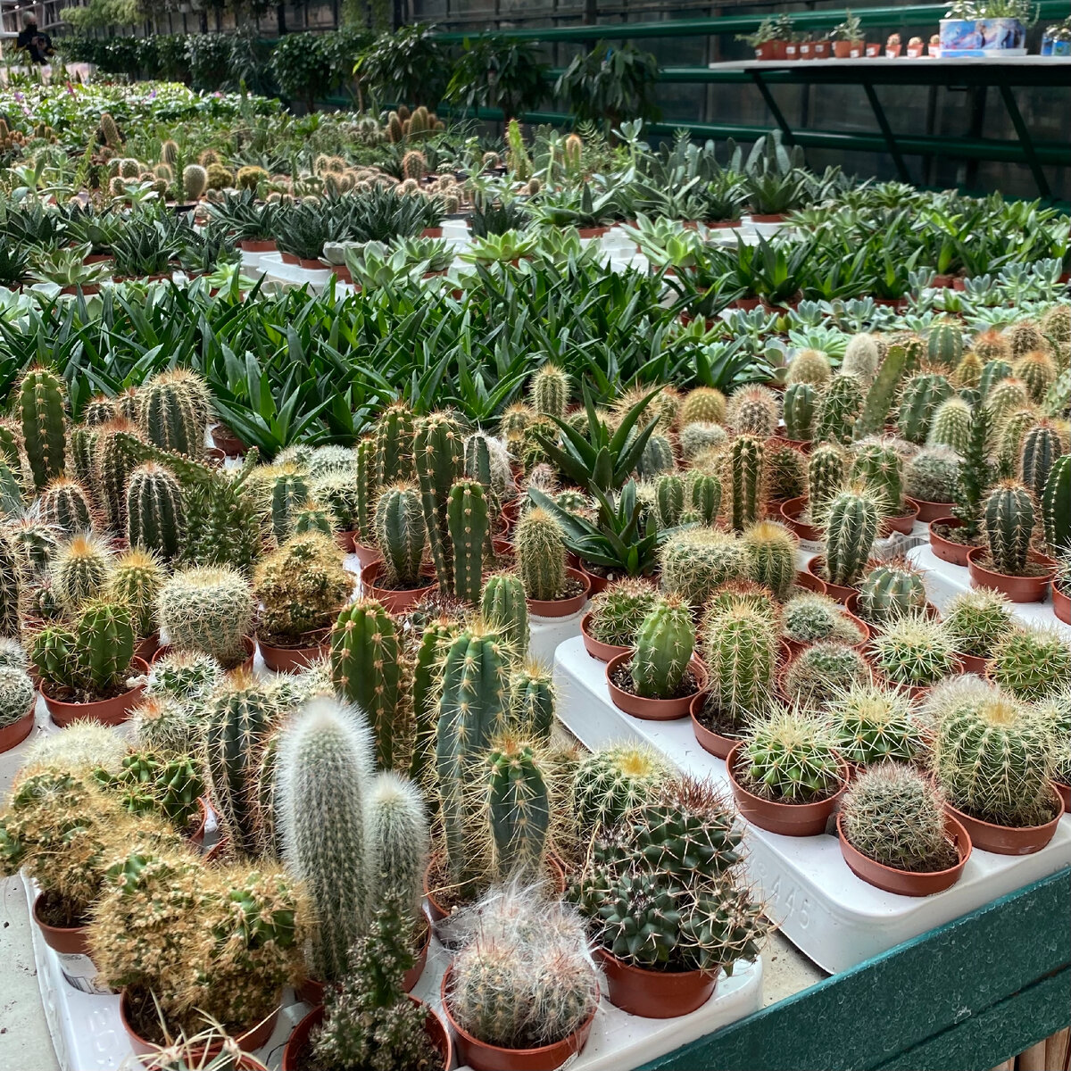 Наверное, это мой рай