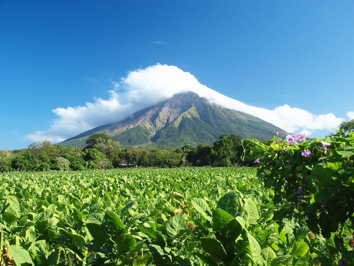 Фото: pixabay