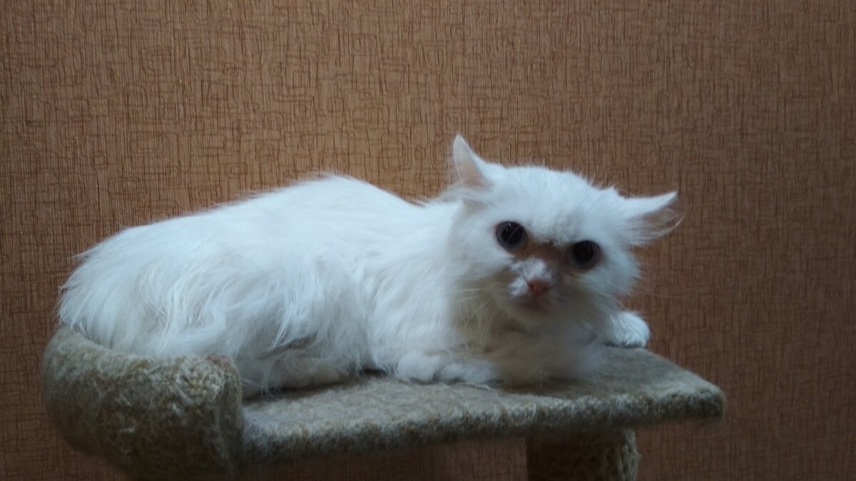 Вот так она выглядела на момент поступления в фонд