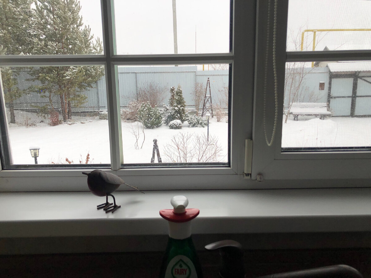 Птичка на подоконнике приехала из Ботанического сада Кью в Лондоне, напоминает о прекрасном путешествии