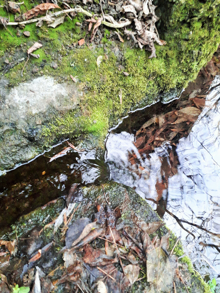 Это ручей где я часто беру воду...