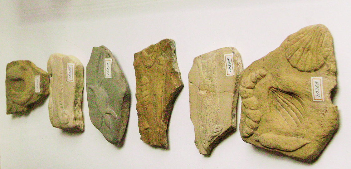 Окаменелости Берингера. Музей Тейлора. Нидерланды