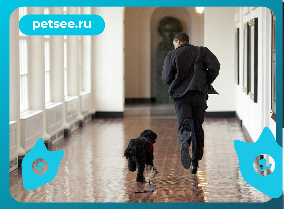 Источник: pixabay.com