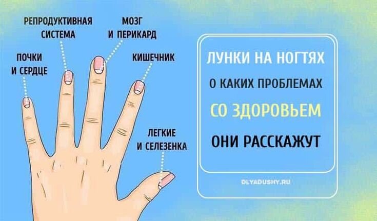 О каких заболеваниях говорят ногти на руках и ногах, как по цвету ногтей определить болезнь