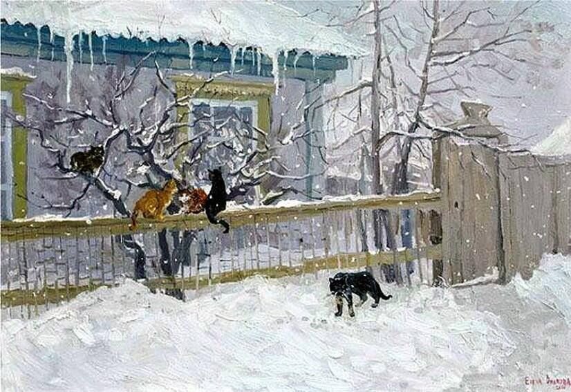 Вилкова Елена
