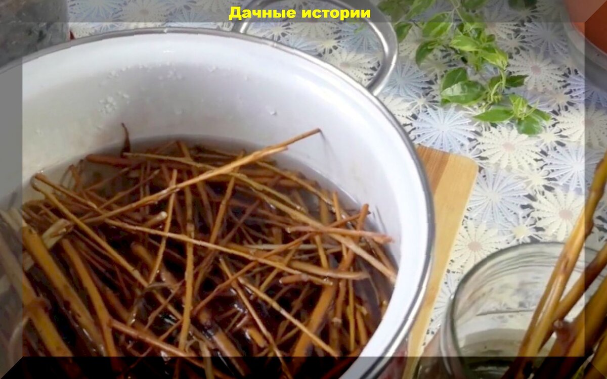 https://vk.com/photo-159774511_457250941