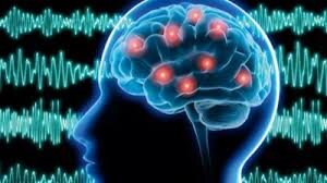 фото: https://sova.by/