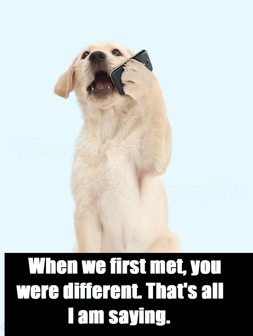 Когда мы впервые повстречались, ты была другая. Вот что я тебе говорю. 