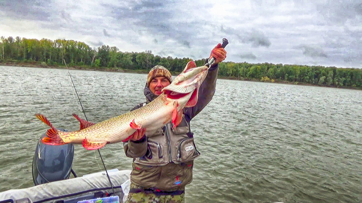 Кадр из видео .Щука 9850