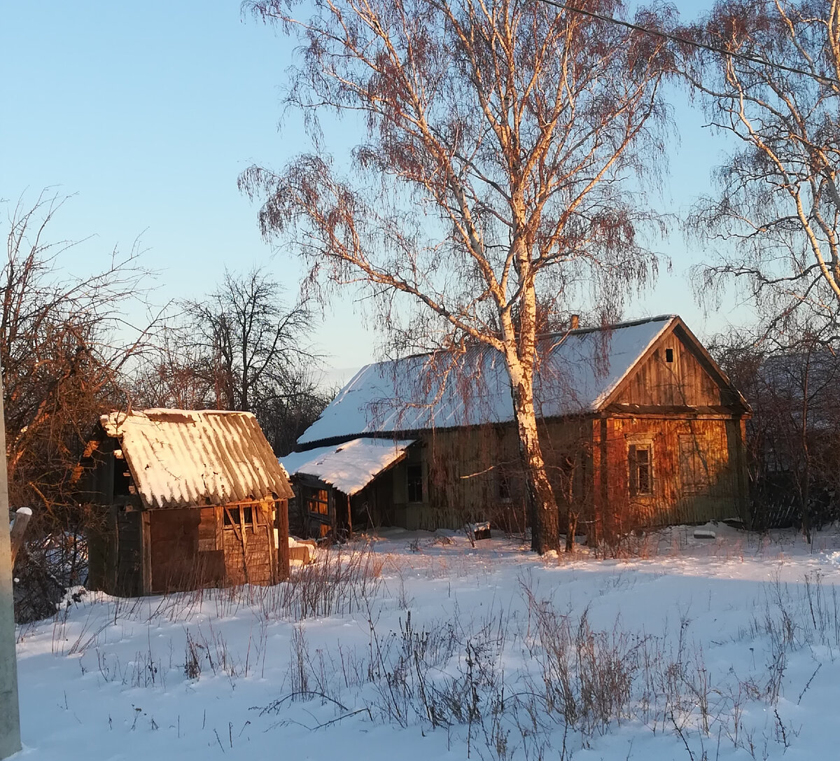 Настасья. Глава 1. Избушка | Ijeni | Дзен