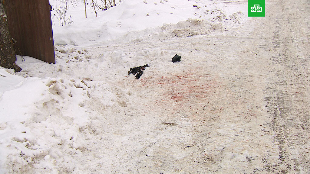 Место трагедии в подмосковной Истре 2018 год ...