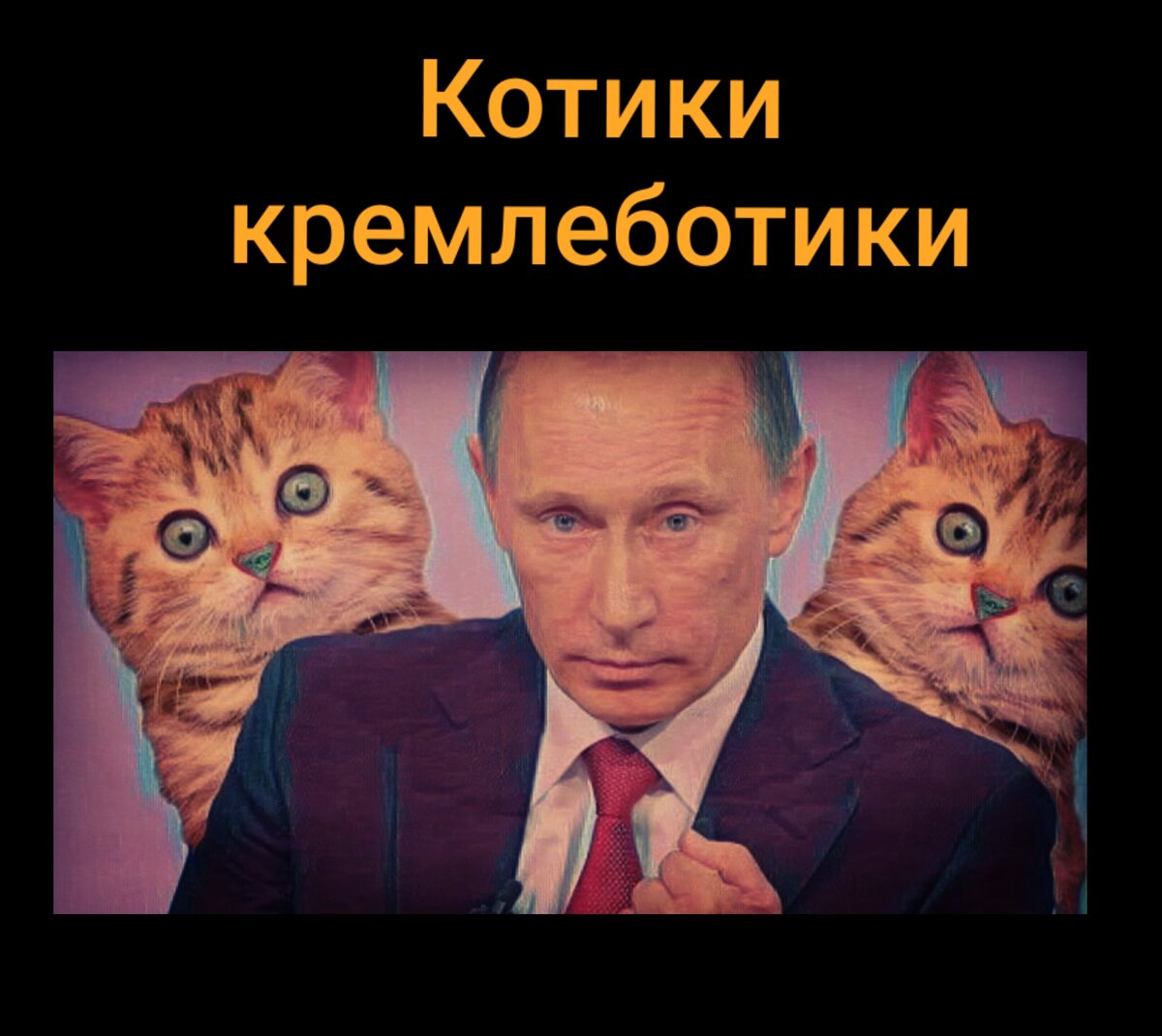 Все любят котиков