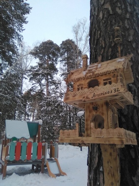 фото автора 