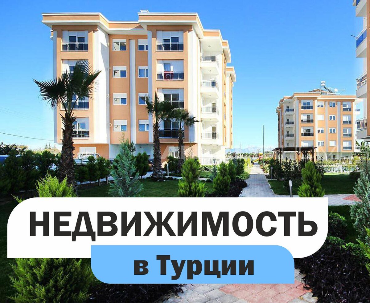 Надежда Токарева