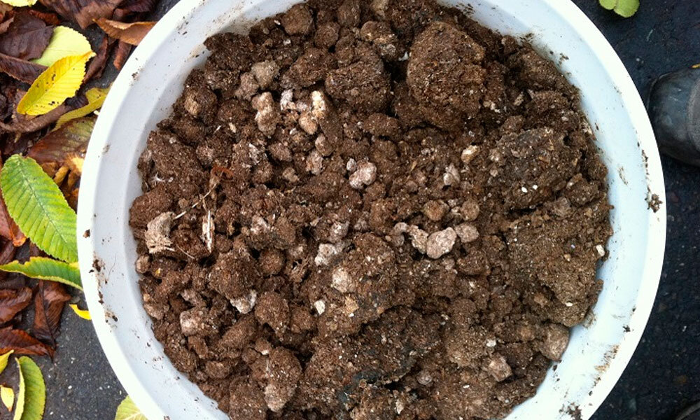 Куриный помет для любителей натуральных удобрений (фото с сайта azbukaogorodnika.ru)