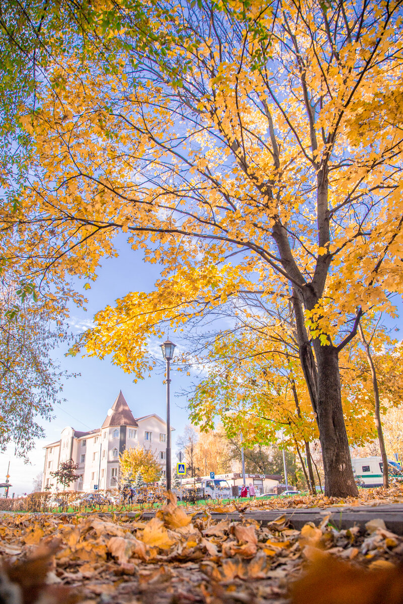 Мгновенья осени.
