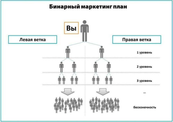 Бинарный маркетинг план