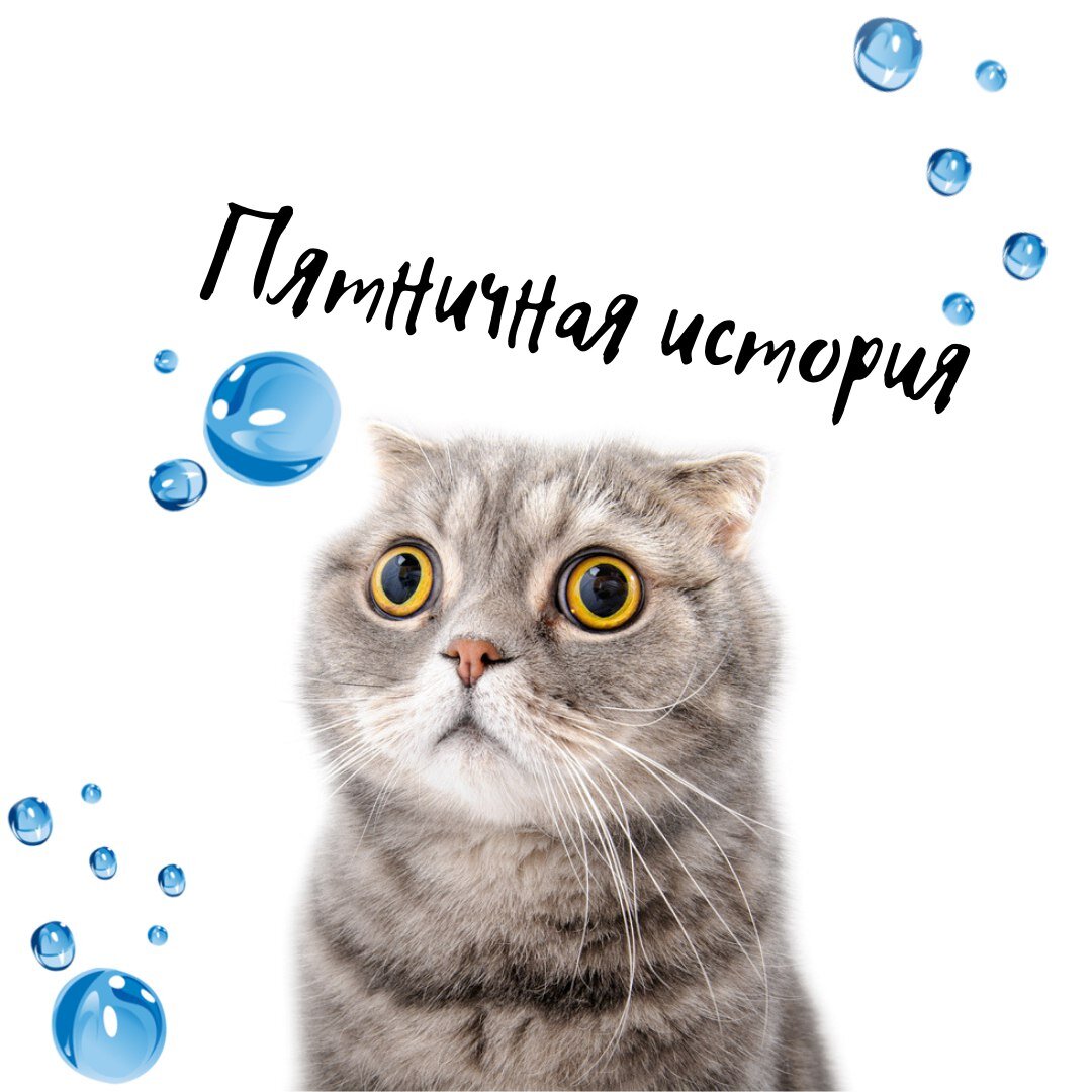 Непотопляемый Сэм