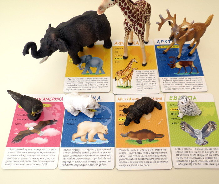 Карточная игра "Спроси меня, кто где живёт"