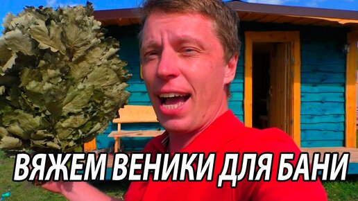 ВЕНИКИ для БАНИ. КОГДА вязать веники? КАК вязать ВЕНИКИ.