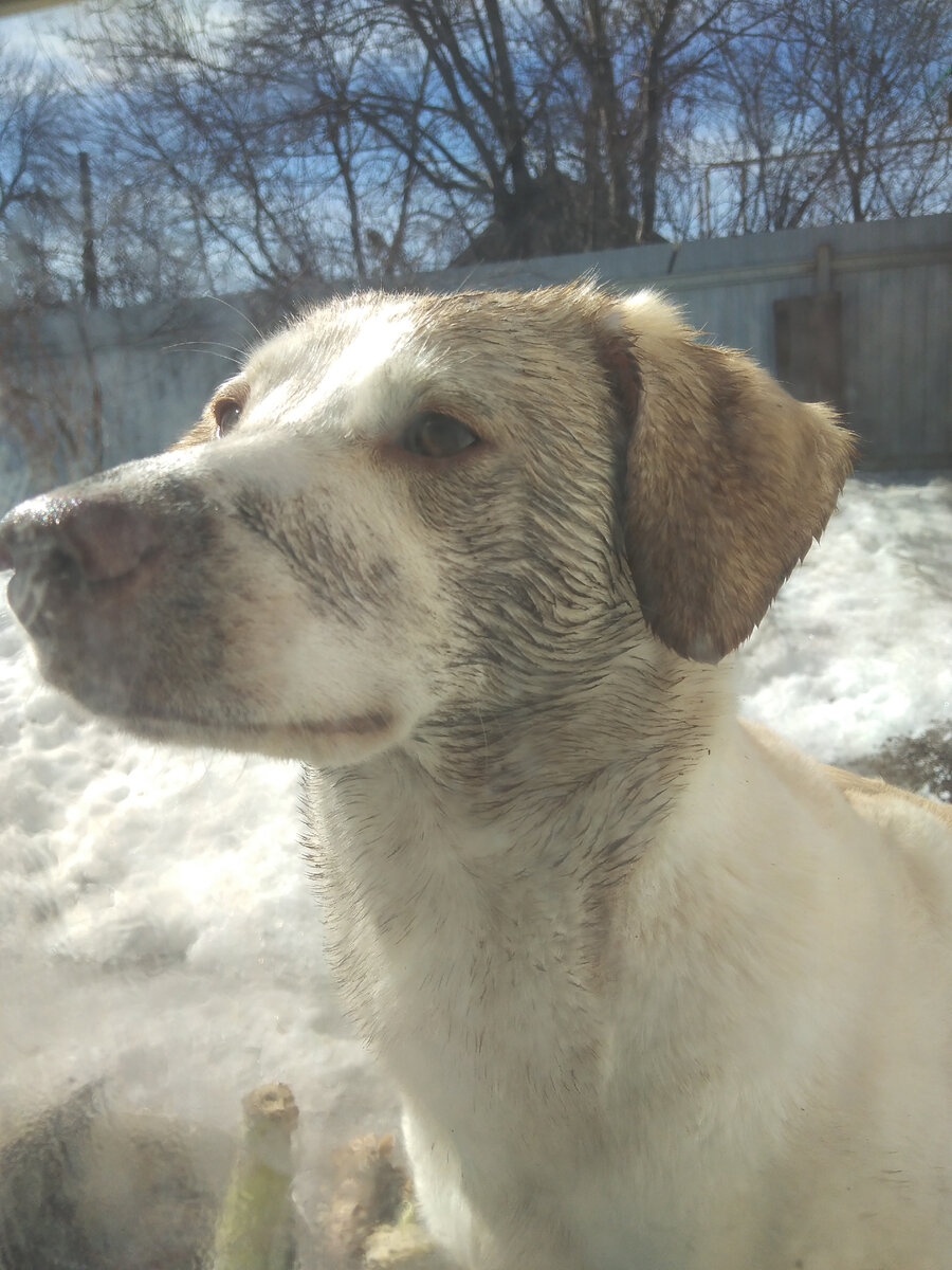 Вы видали такое Чудо-Юдо? Даже родная бабушка на фотке не узнала!