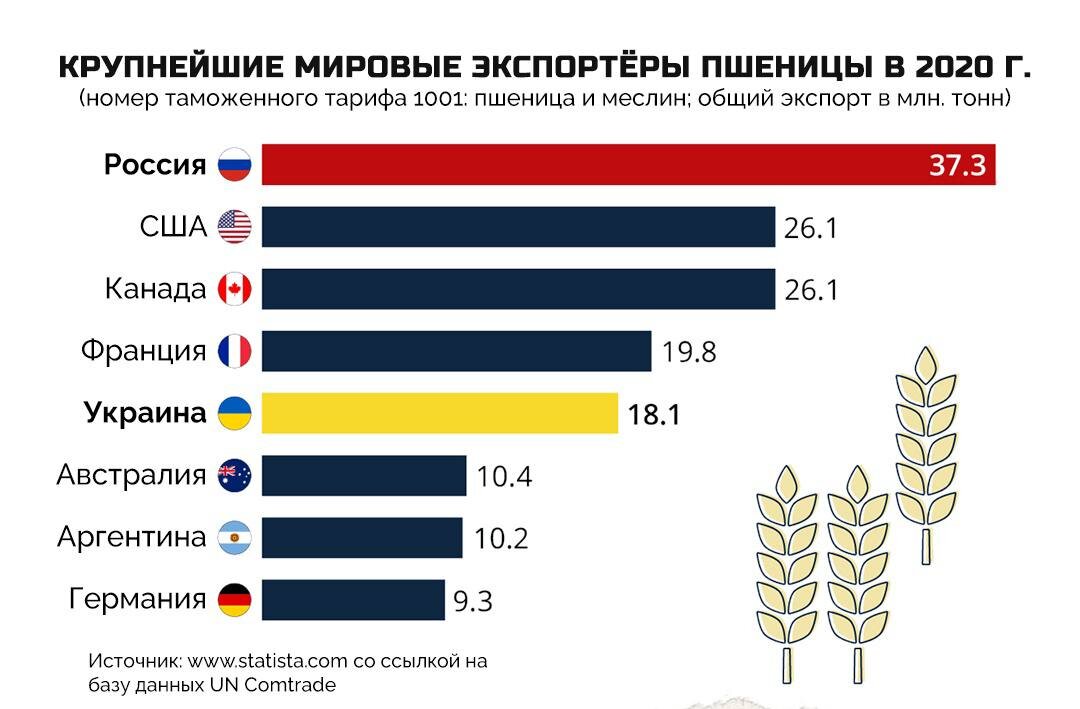 Инфографика от немецкой компании Statista, обрабатывающей потребительские данные, по поставкам крупнейших экспортеров пшеницы в мире.  