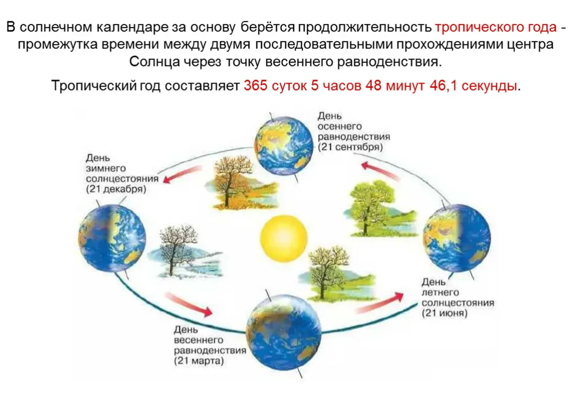 Какова связь между сезонными изменениями и ростом