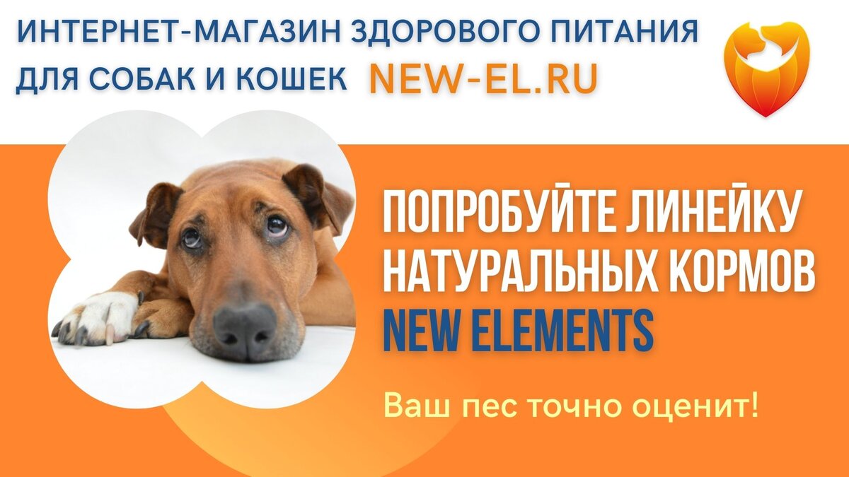 Натуральные корма для собак и кошек NEW ELEMENTS в интернет-магазине new-el.ru