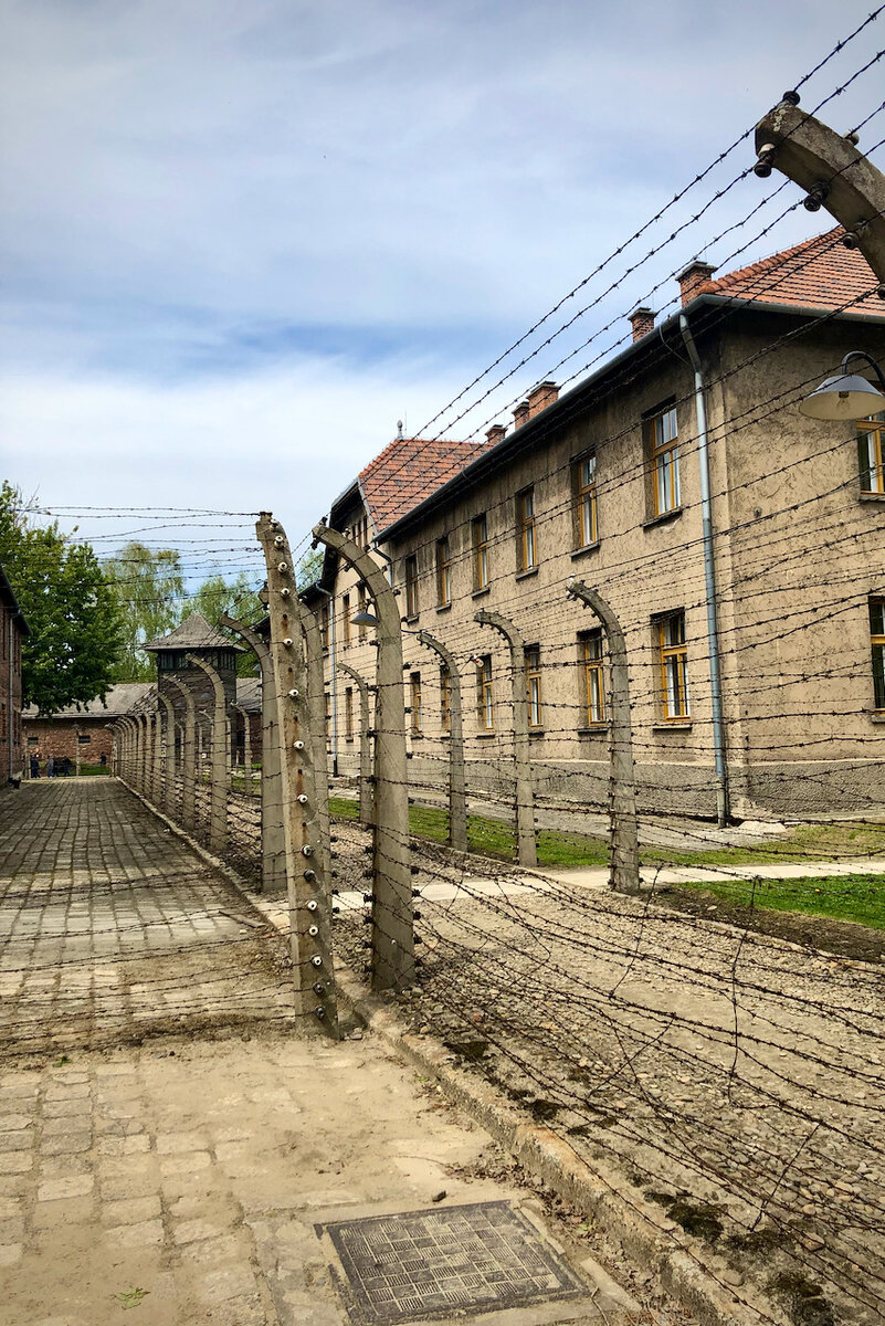 Аушвиц-Биркенау в Освенциме – история, которую должен знать и помнить ...