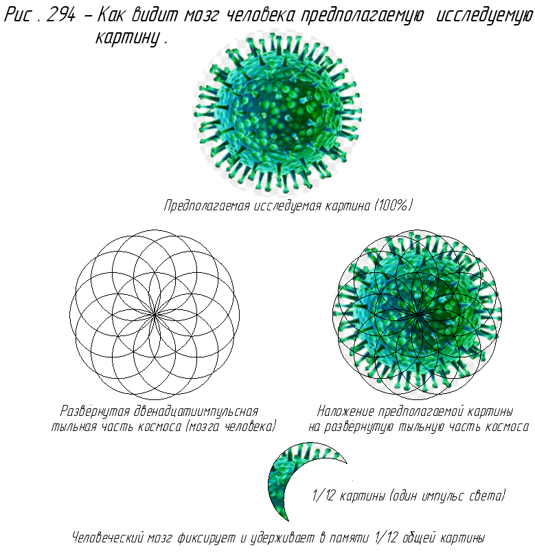 Как видит мозг человека предполагаемую исследуемую картину.