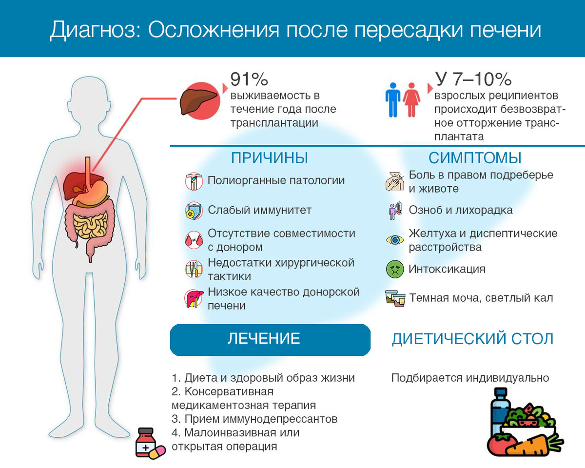 Какие продукты полезны для печени?