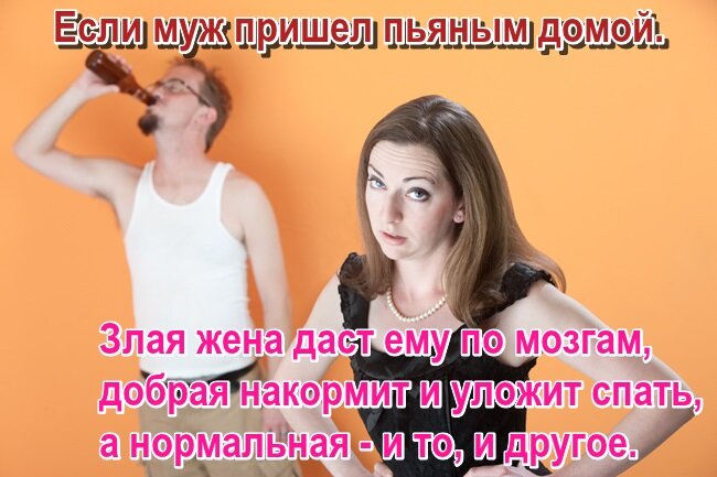 Пришел домой. Как приходить домой пьяным. Анекдоты про кошек. Как приходить домой пьяным. Как приходить домой пьяным.