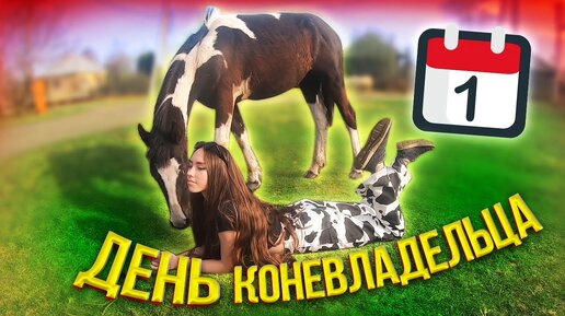 Как проходят БУДНИ КОНЕВЛАДЕЛЬЦА с лошадьми на своем участке? VLOG