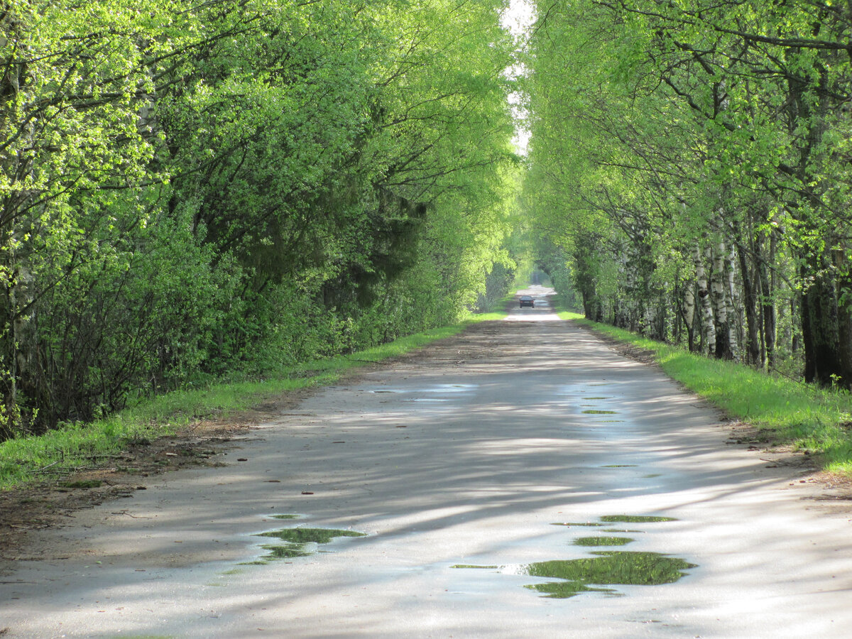 На пути в Александровское