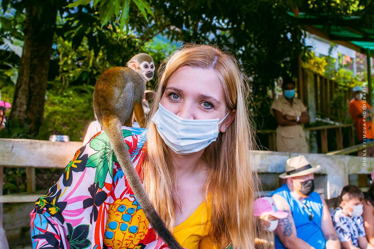 Доминикана