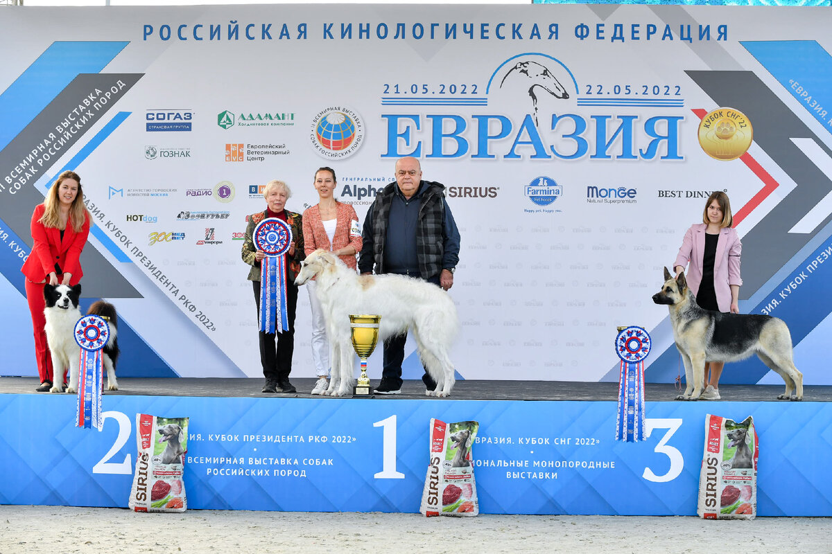 График выставок собак 2025