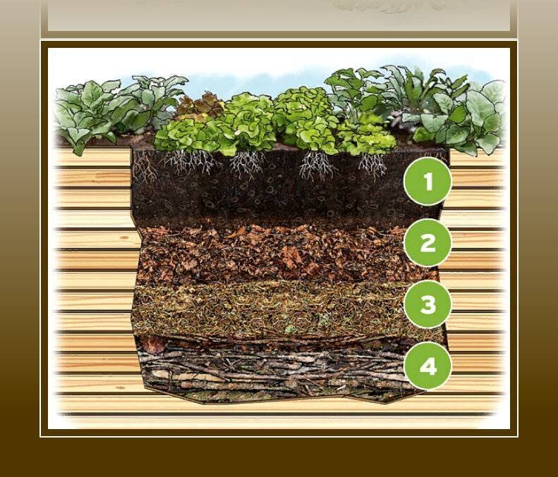 Фото с интернета 