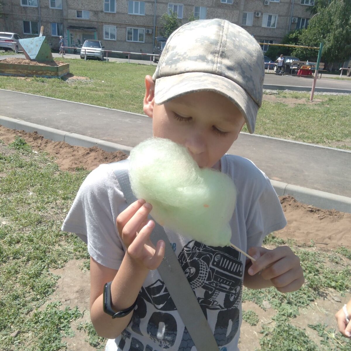 Заветная вата