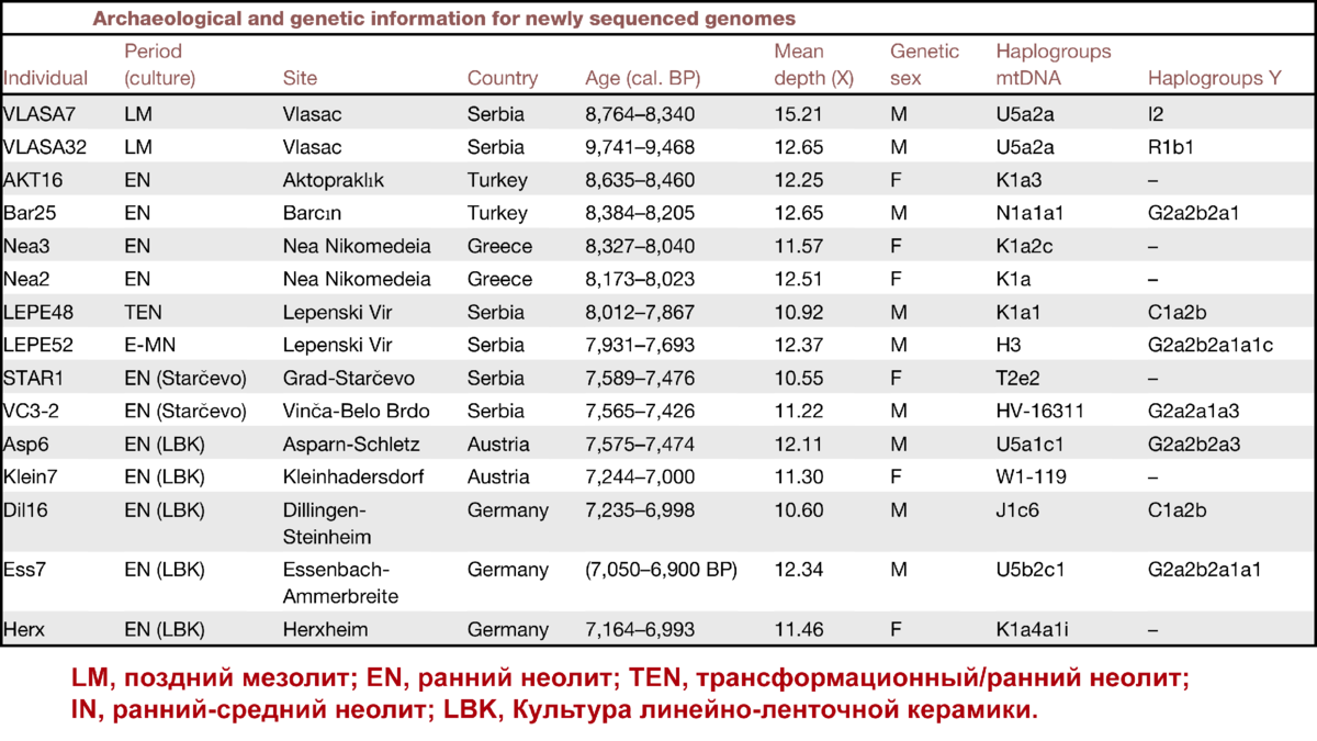 Генетика национальность