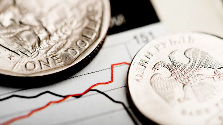 ФОТО: VALERI POTAPOVA/SHUTTERSTOCK.COM