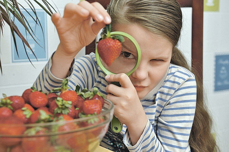     При ближайшем рассмотрении «крымская» клубника с московского прилавка оказывается... турецкой! Или греческой, или азербайджанской. Михаил ФРОЛОВ