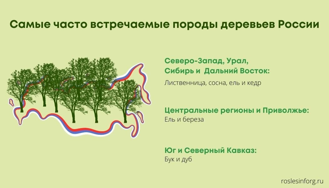 Как подобрать древесину для строительства