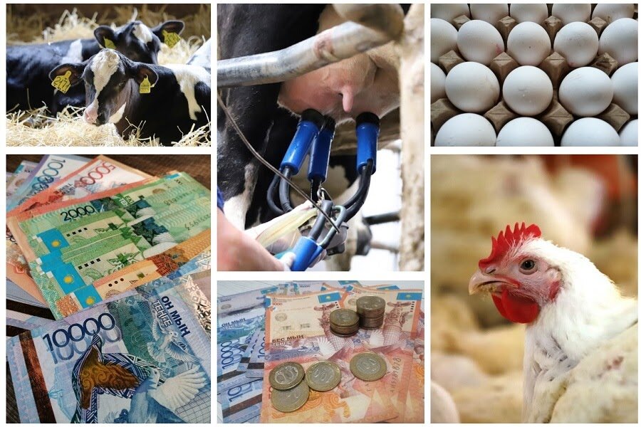 Источник фото: ElDala.kz